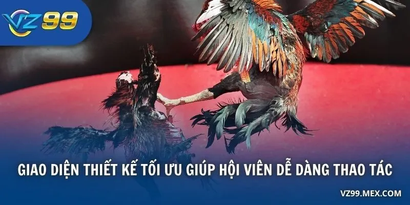 Giao diện thiết kế tối ưu giúp hội viên dễ dàng thao tác